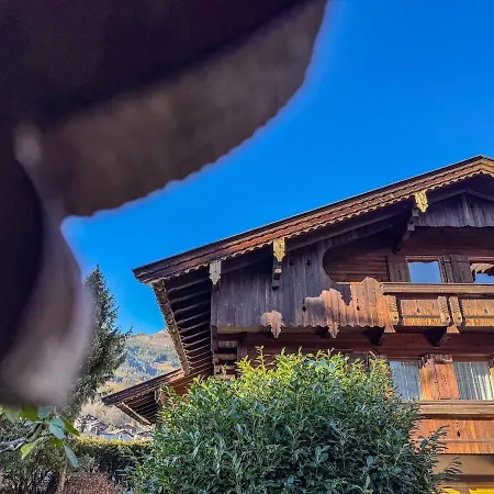 Lejlighed Anton Zillertal